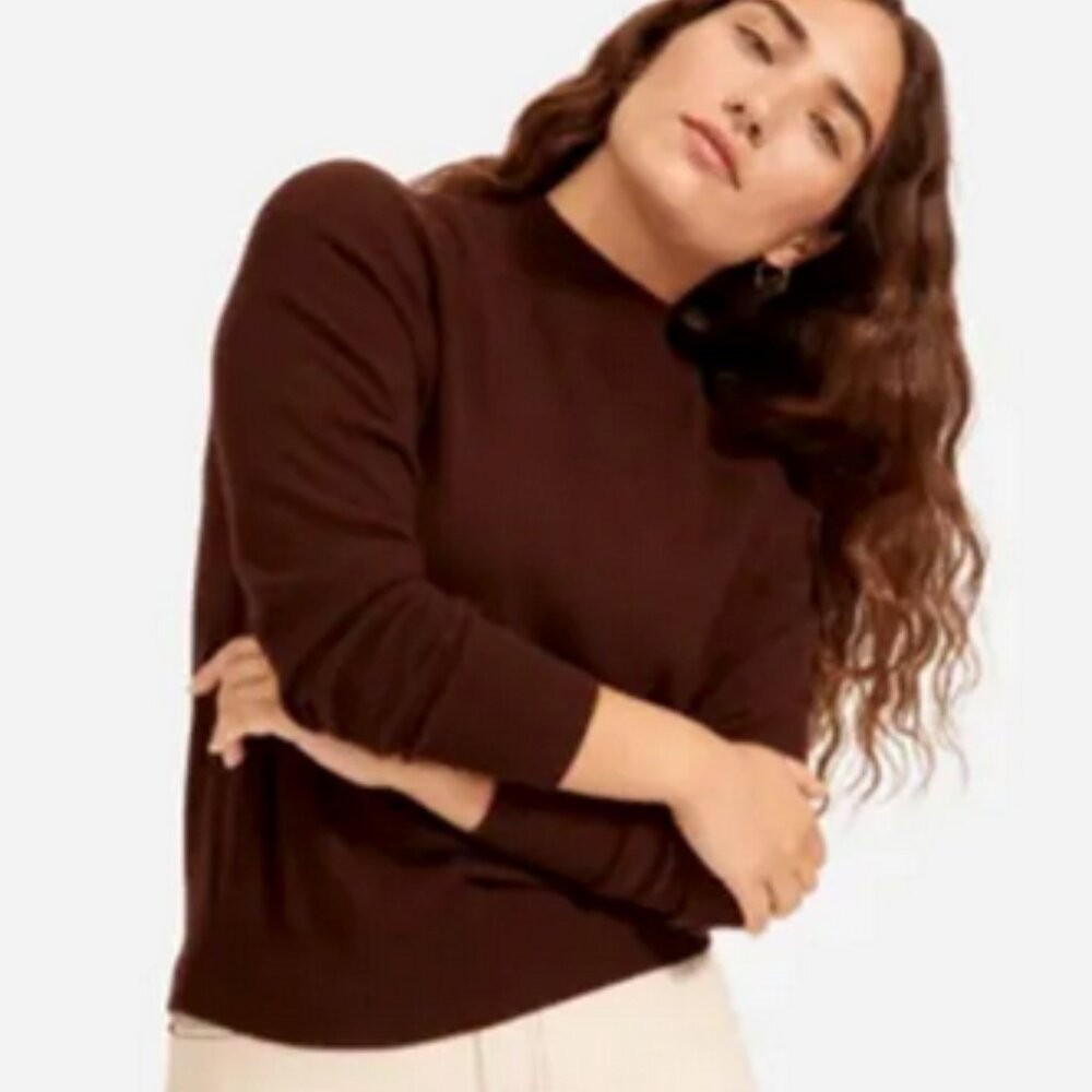 Everlane Cashmere Shrunken Mockneck Sweater in Brown
